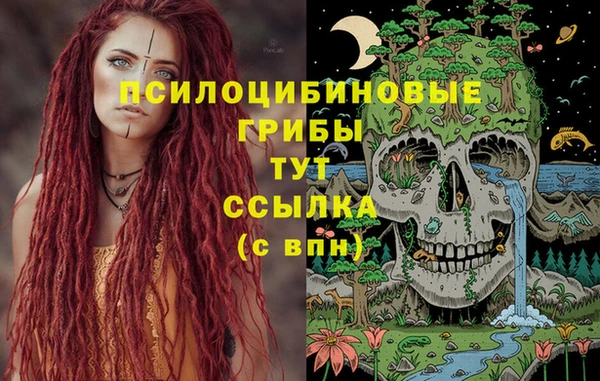 меф Карпинск