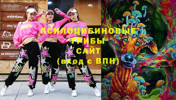прущие грибы Кинешма