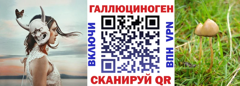 Купить закладки  Жиздра  Галлюциногенные грибы MAGIC MUSHROOMS 