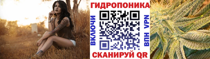 Купить закладки  Жиздра  Конопля LSD WEED 